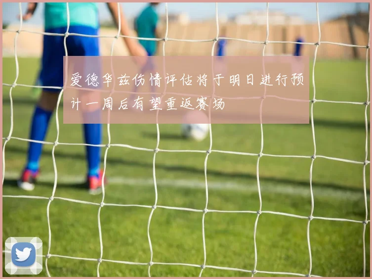 爱德华兹伤情评估将于明日进行预计一周后有望重返赛场