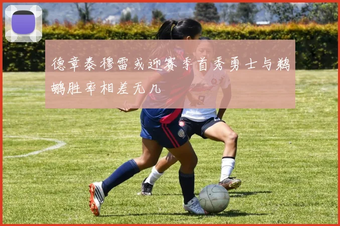 德章泰穆雷或迎赛季首秀勇士与鹈鹕胜率相差无几